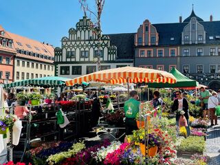 Blumenmarkt Ein lebhafter Blumenmarkt mit bunten Ständen und fröhlichen Menschen, umgeben von historischen Gebäuden und strahlend blauem Himmel.