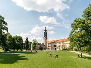 Stadtschloss und Bastille Eine weitläufige Wiese mit Menschen, die sich entspannen, umgeben von Bäumen und dem Weimarer Stadtschlossturm im Hintergrund.