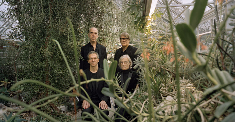 EOC_Kakteen_08C CHARLOTTE GOLTERMANN.jpg