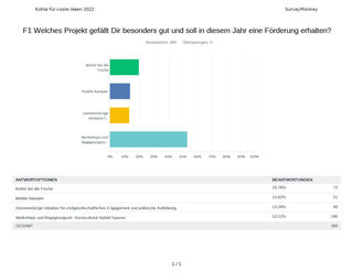 Ein Umfragediagramm mit vier verschiedenen Farbbalken. Grün, Butter bei die Fische, erhielt 19,78 Prozent der Stimmen. Blau, mobile Rampen, 13,82 Prozent. Gelb, Gemeinnützige Initiative, 13,28 %. Workshops und Begegnungsort 53,12 Prozent. 